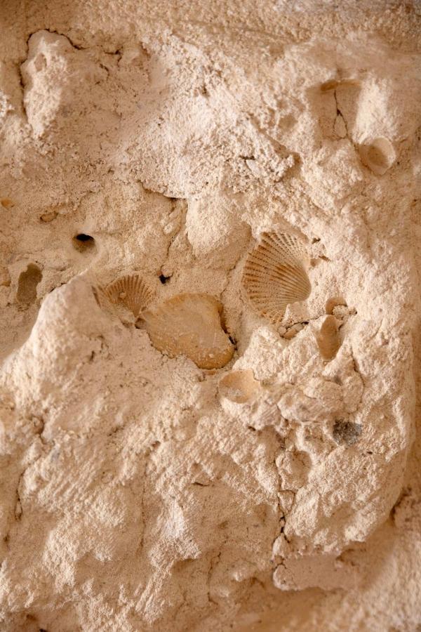 Apulian House Ξενοδοχείο Μπρίντιζι Εξωτερικό φωτογραφία